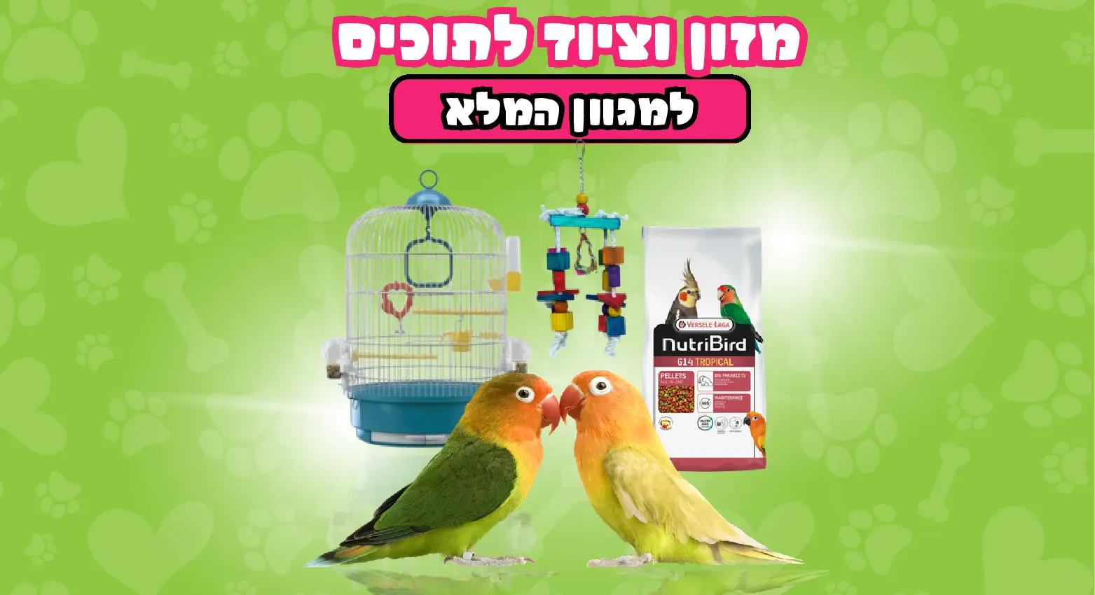 ציפורים