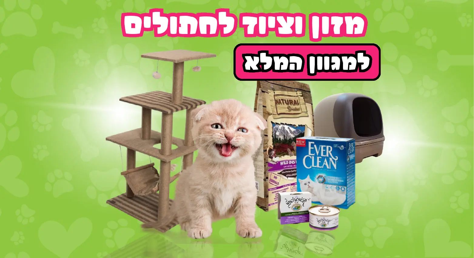 חתולים