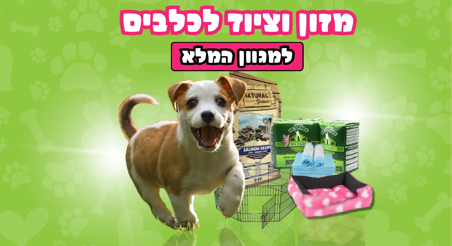 כלבים