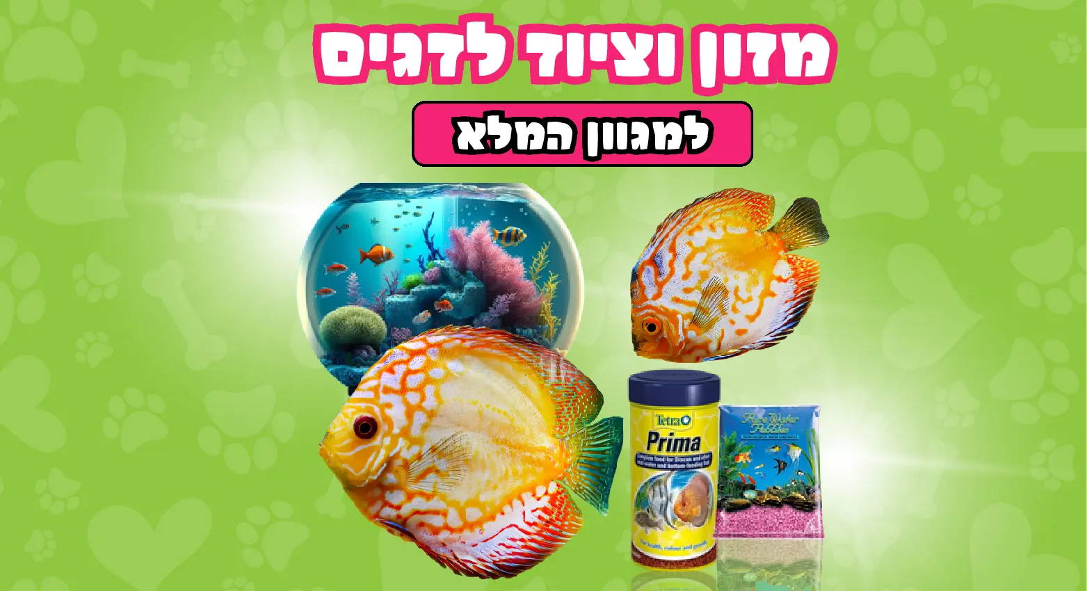 דגים