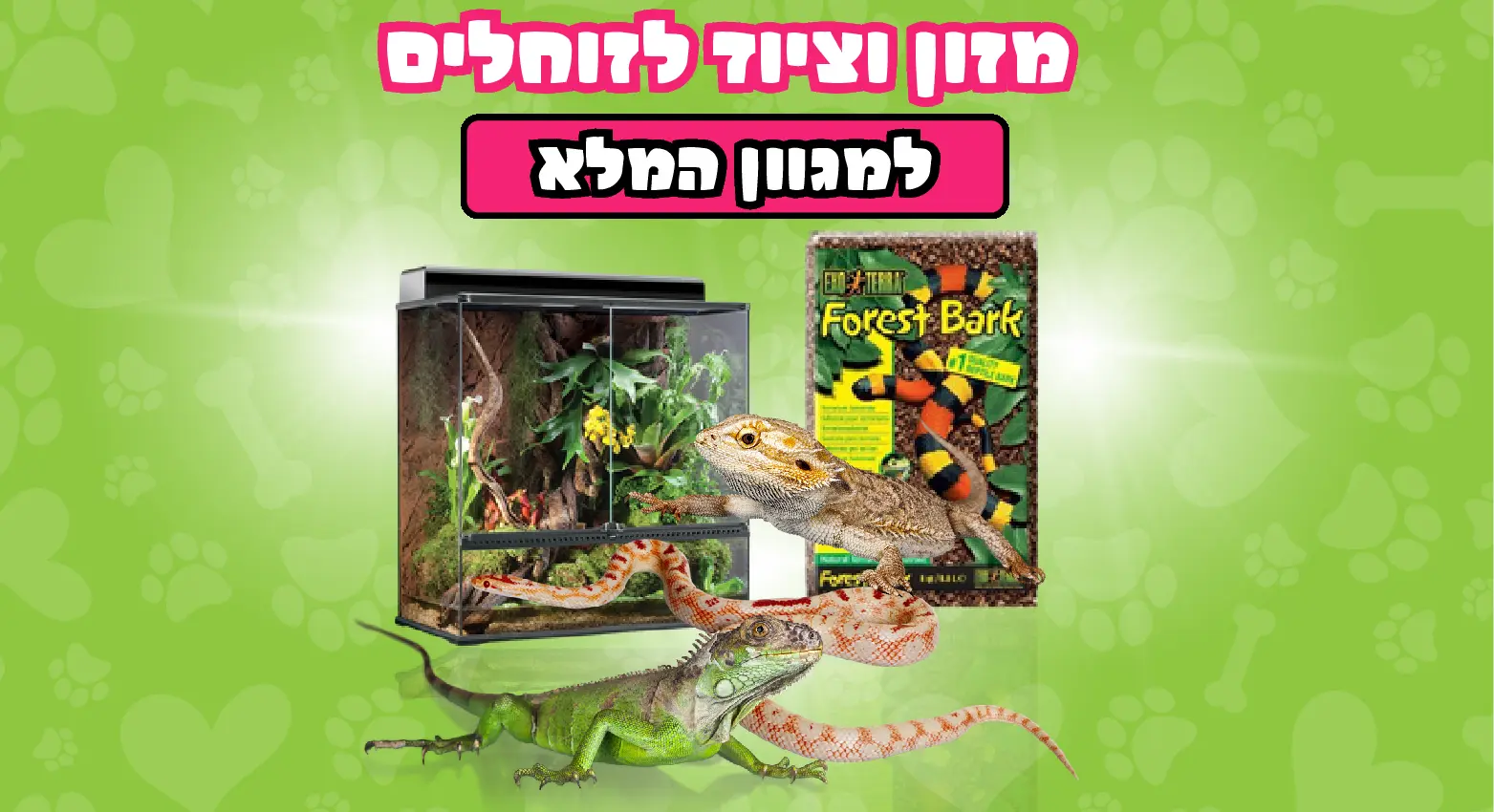 זוחלים