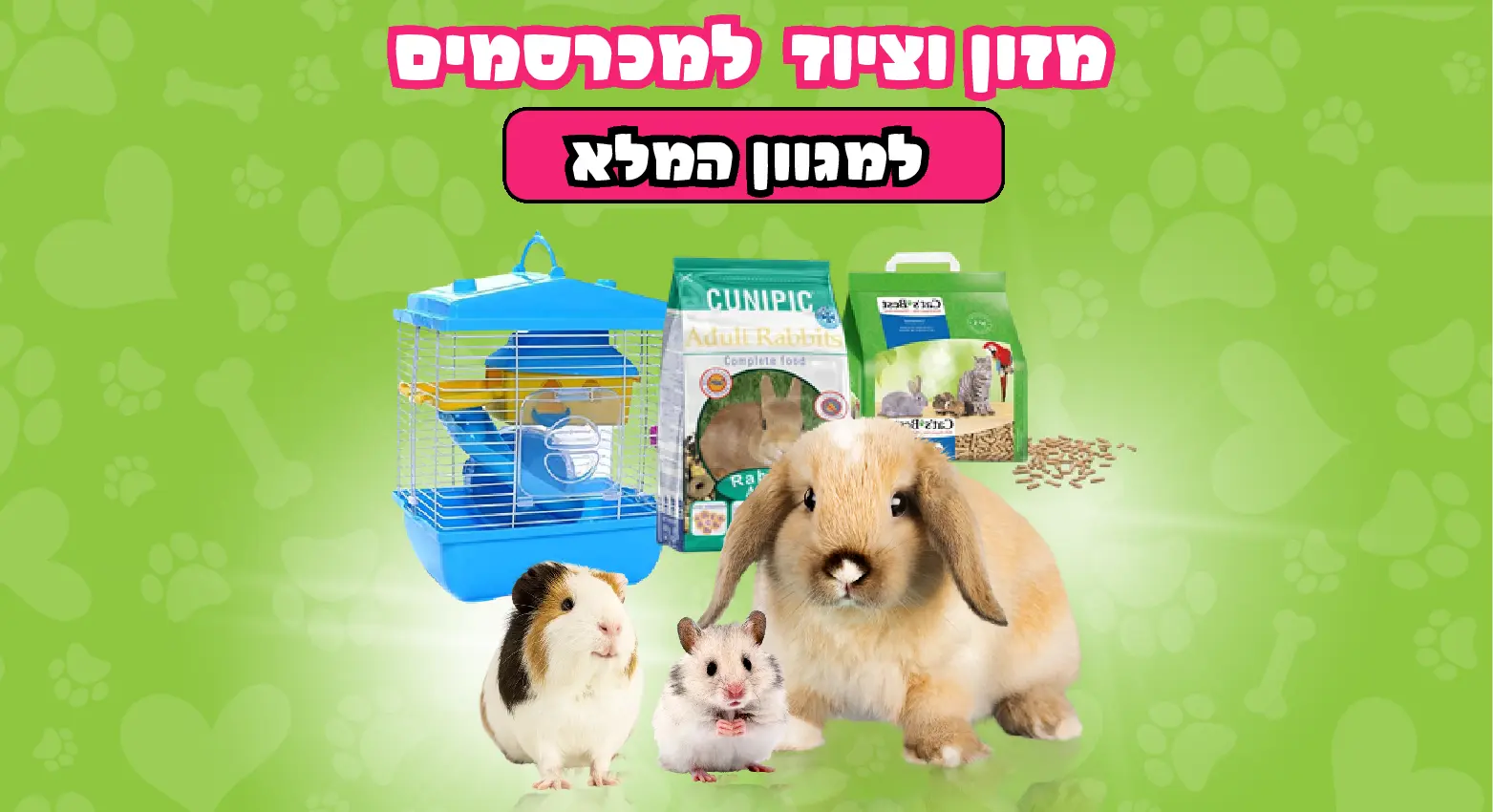 מכרסמים