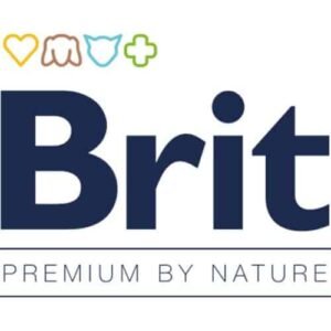 Brit-בריט