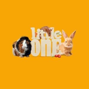 Little One-ליטל וואן