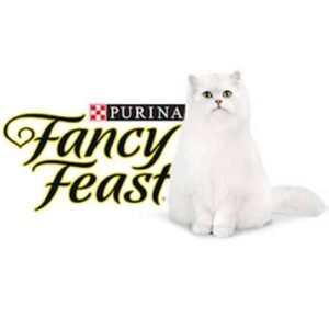 Fancy Feast-פנסי פיסט