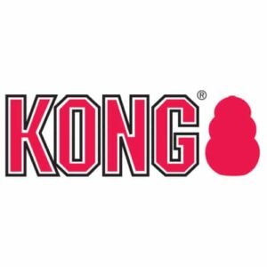 KONG-קונג