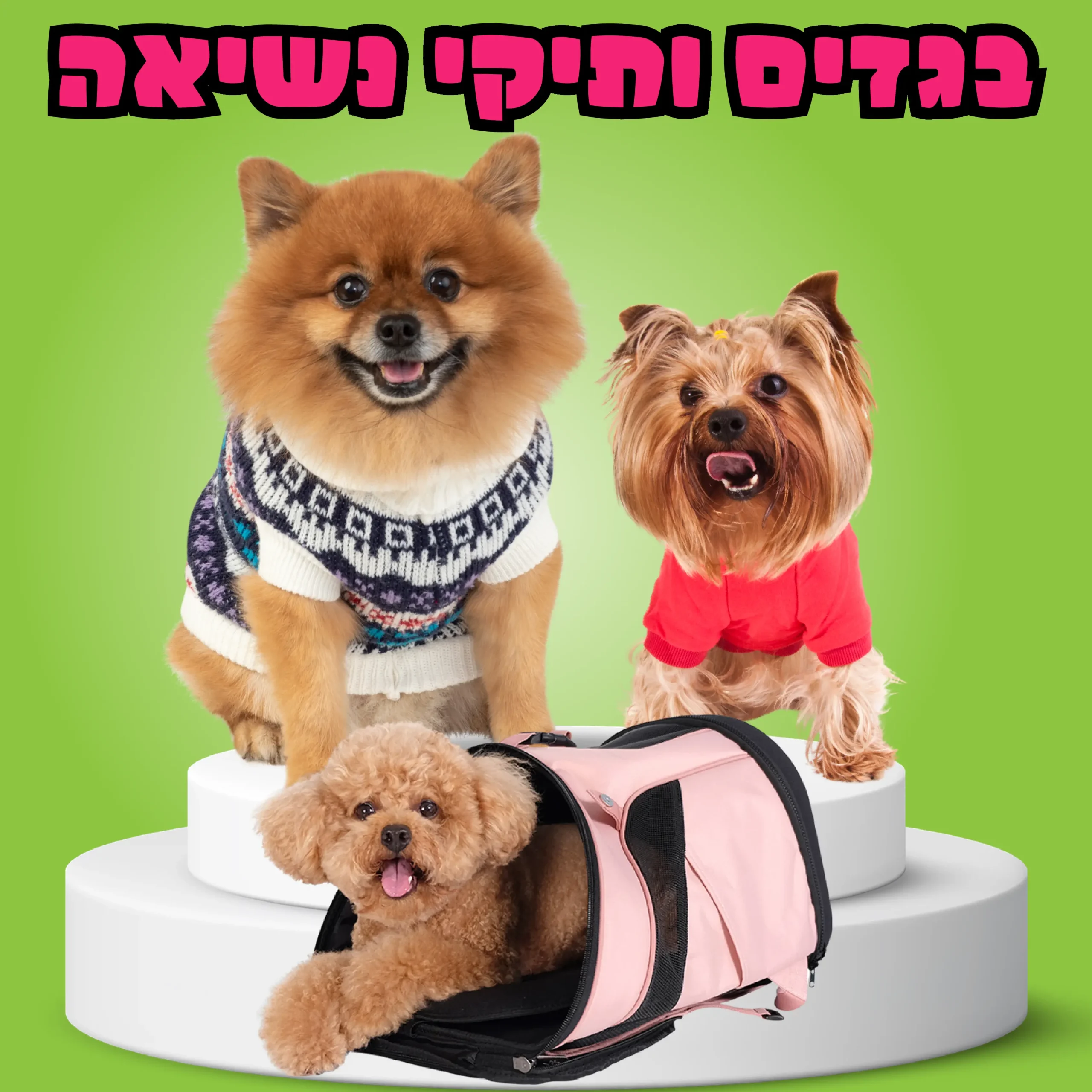 בגדים ותיקי נשיאה