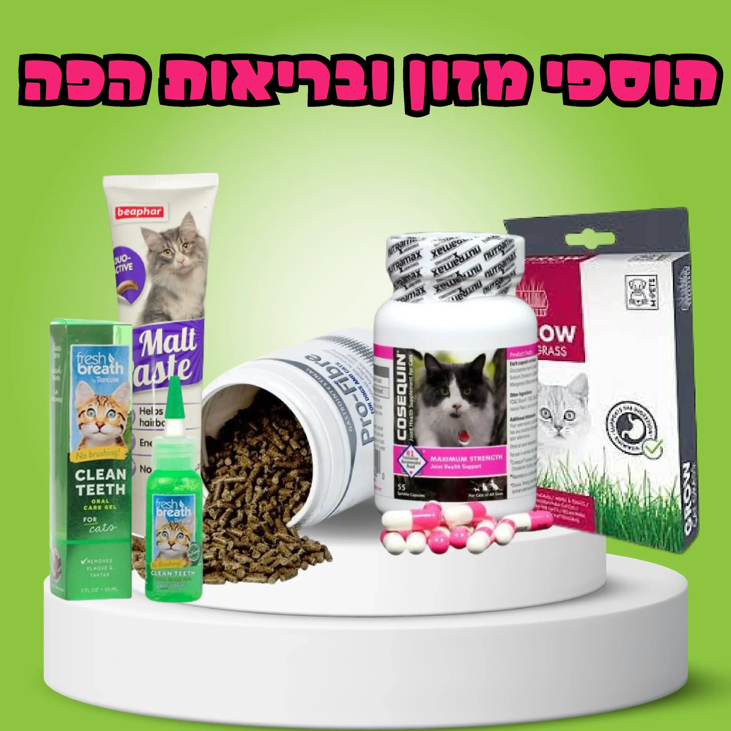 תוספי מזון ובריאות הפה