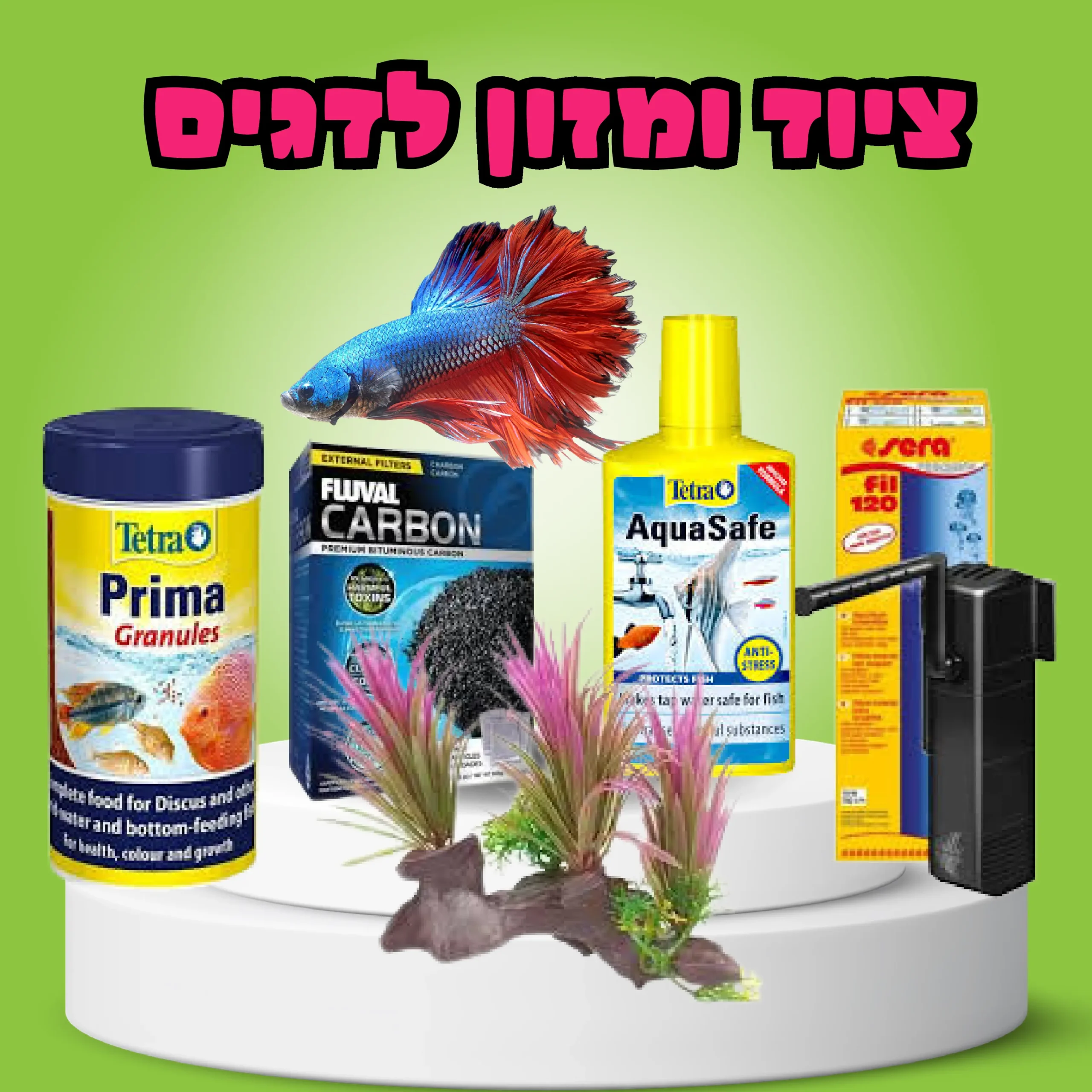 ציוד ומזון לדגים