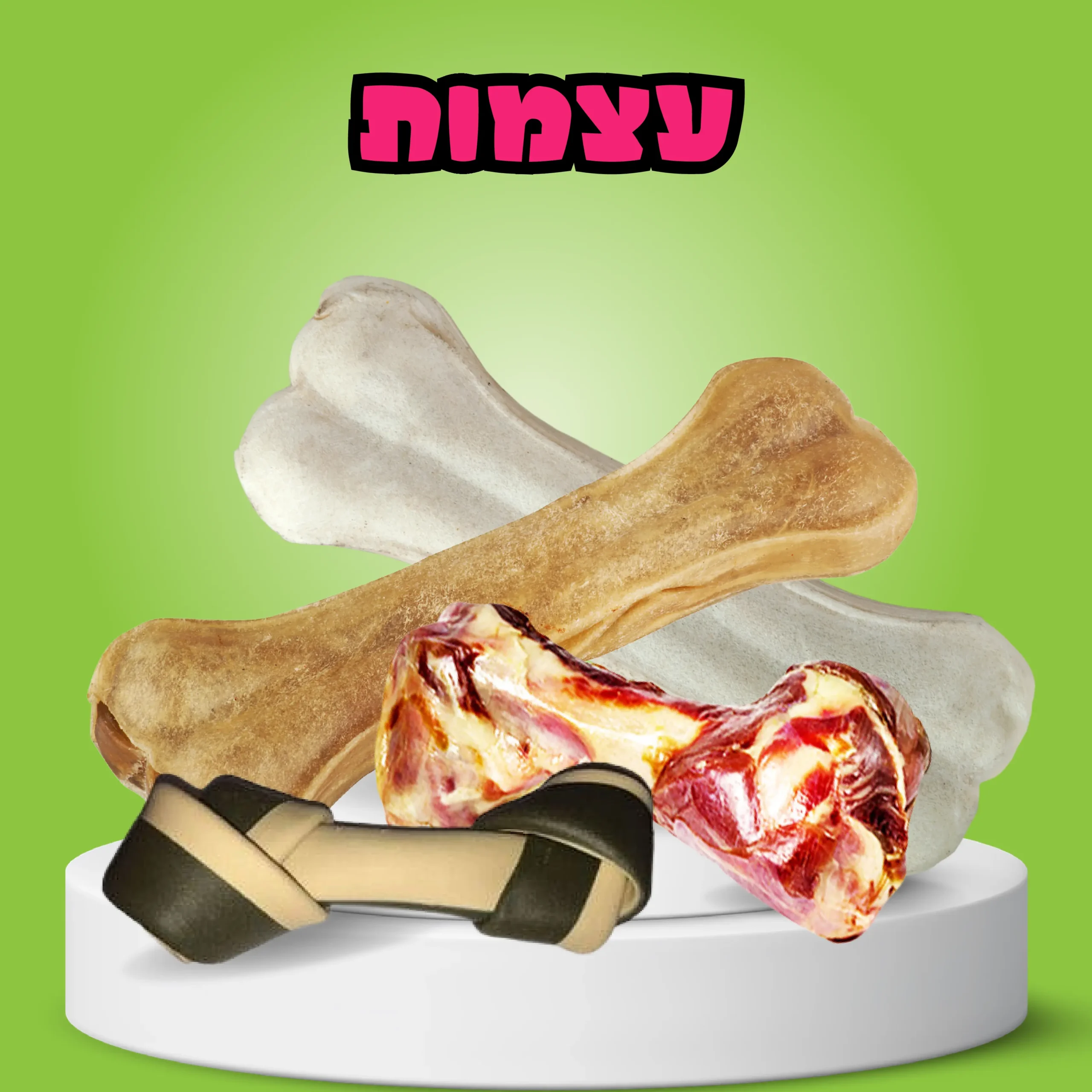 עצמות