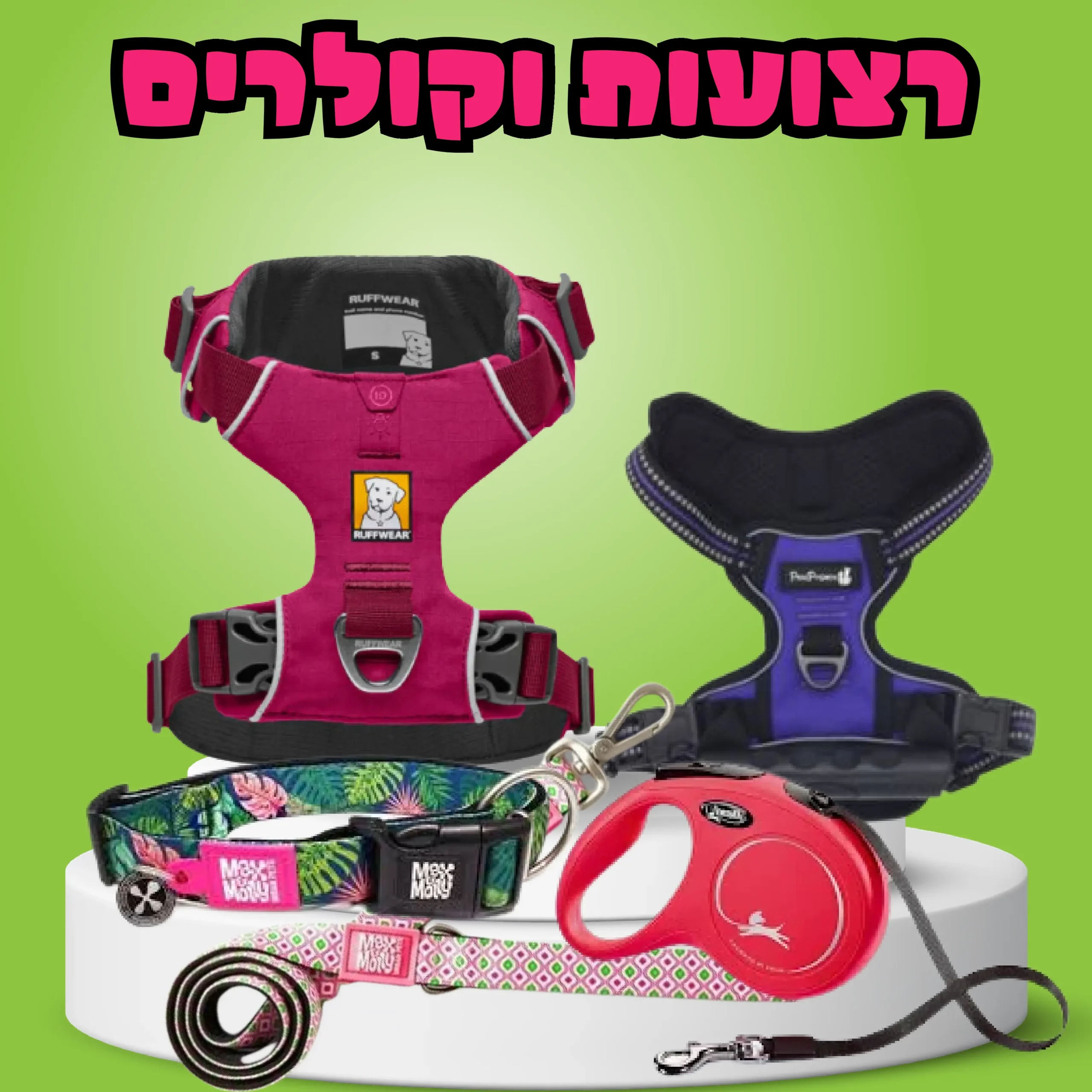 רצועות וקולרים