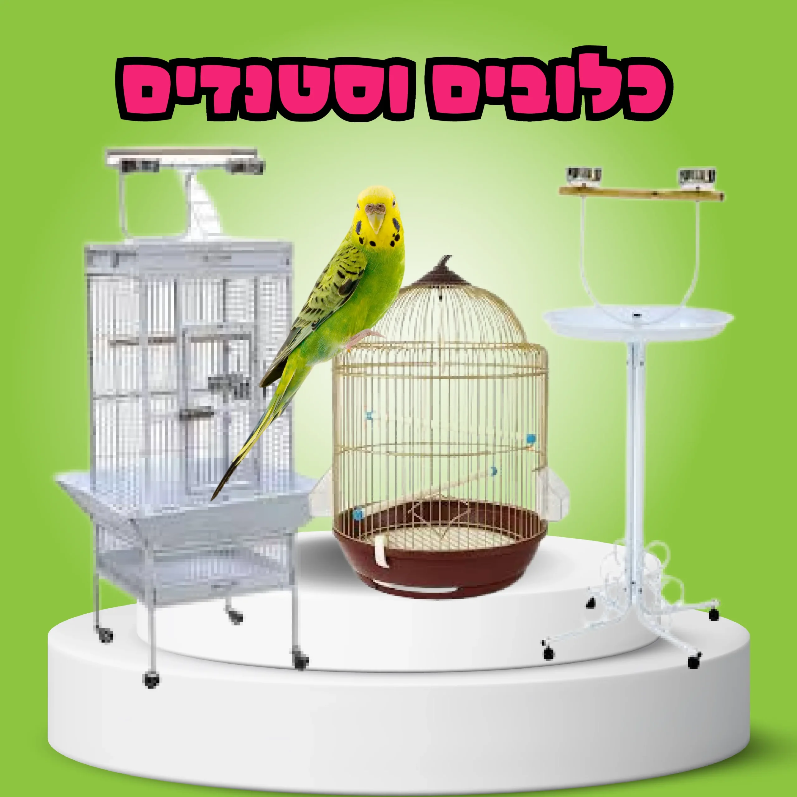 כלובים וסטנדים
