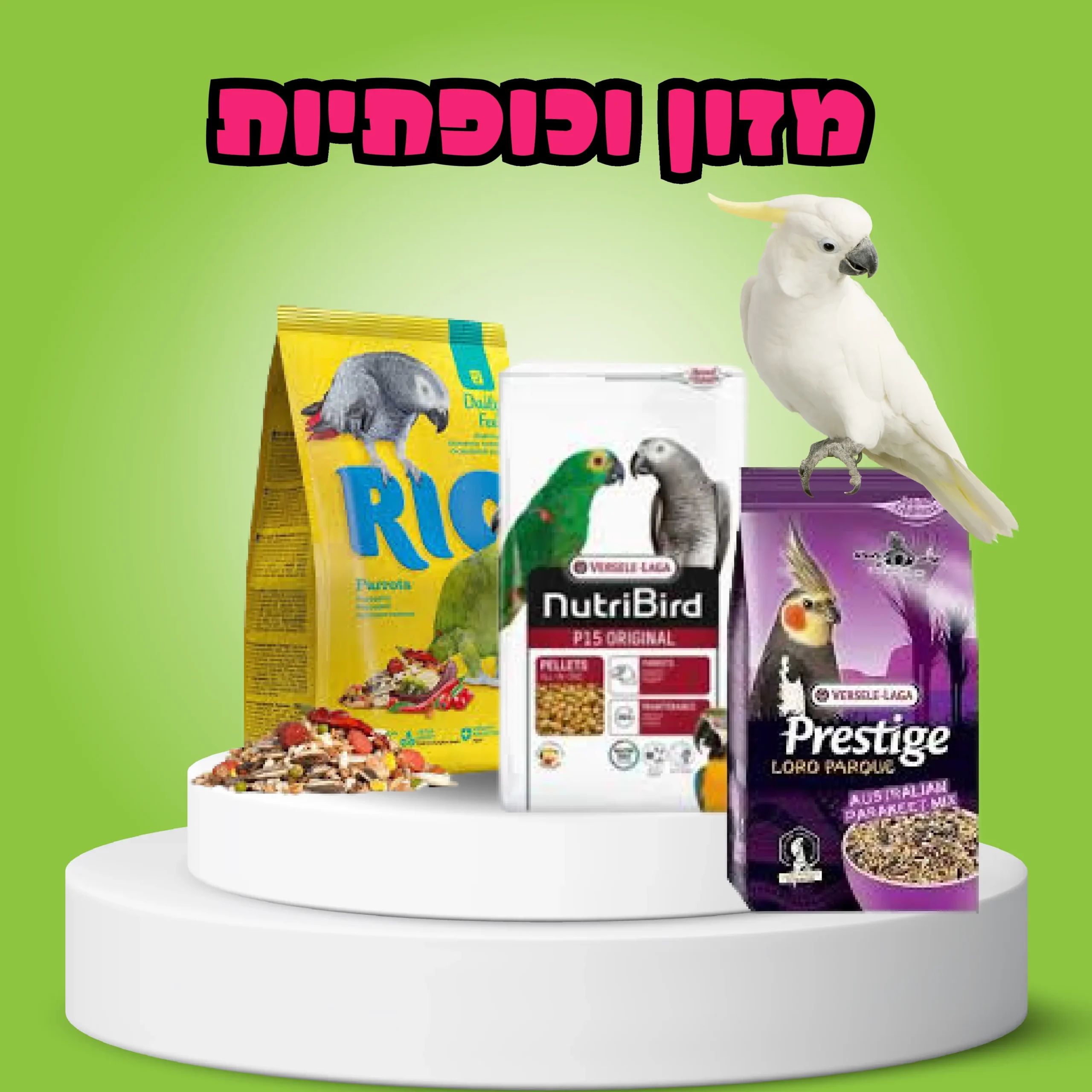 מזון וכופתיות