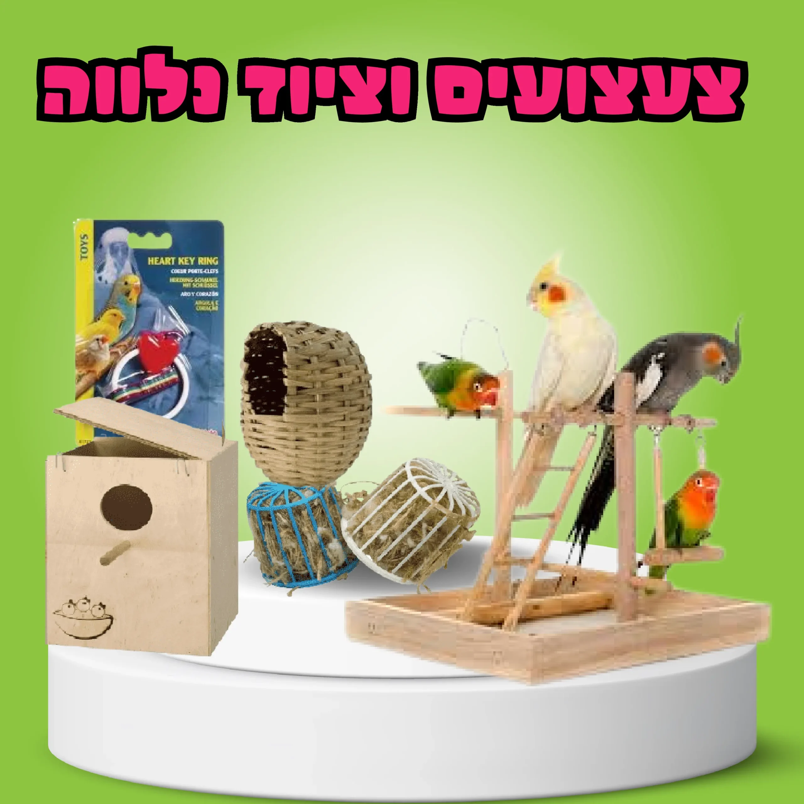 צעצועים וציוד נלווה
