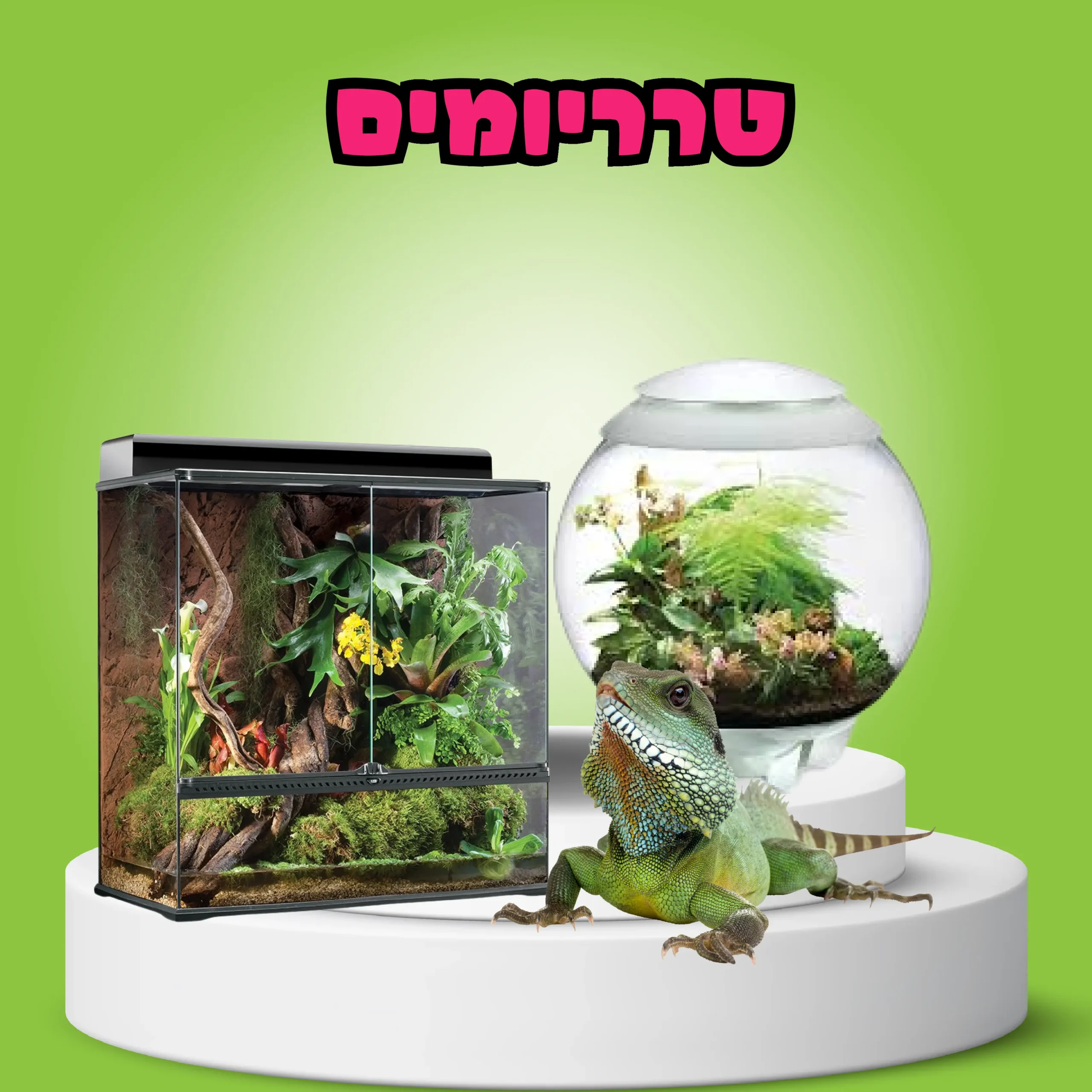 טרריומים