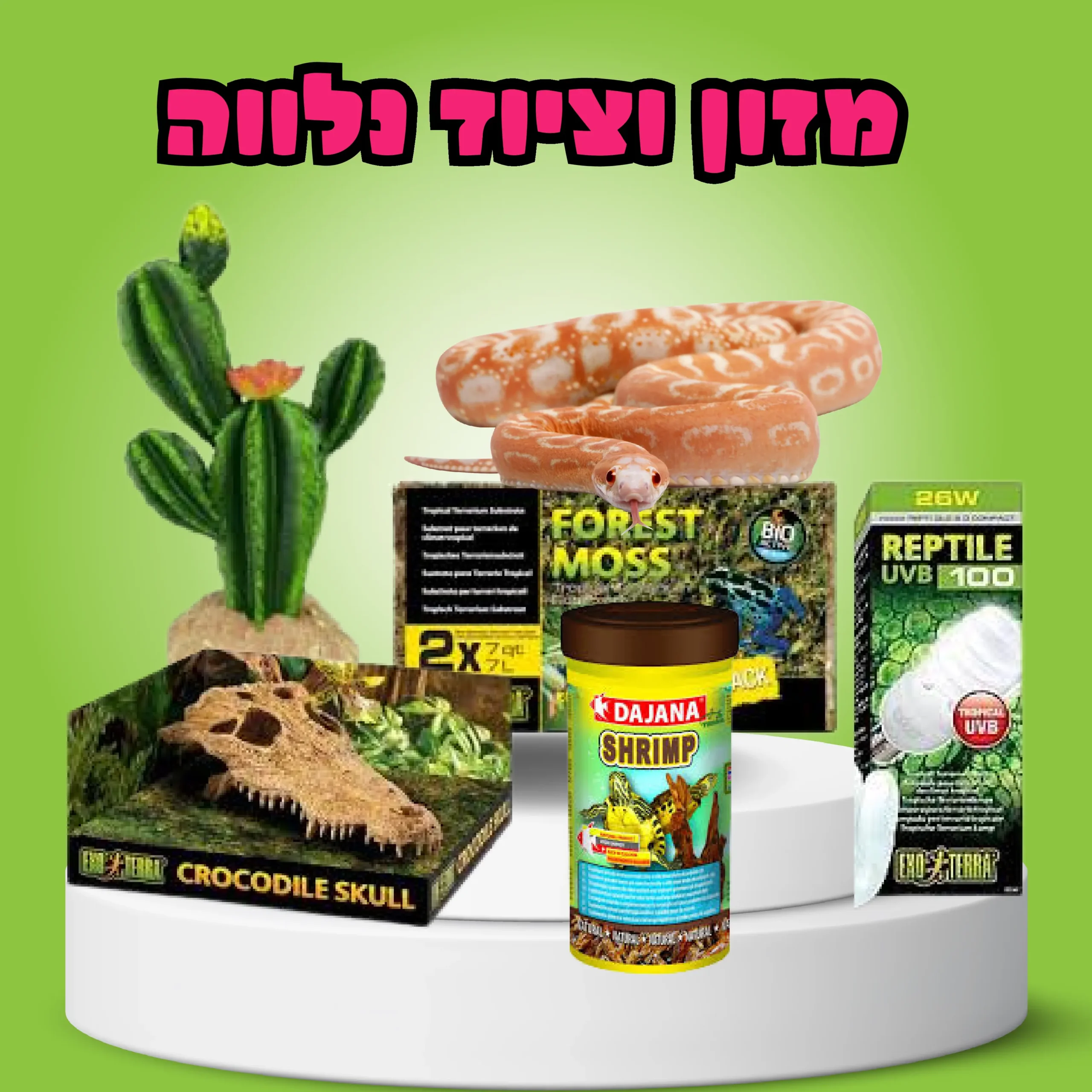 מזון וציוד נלווה