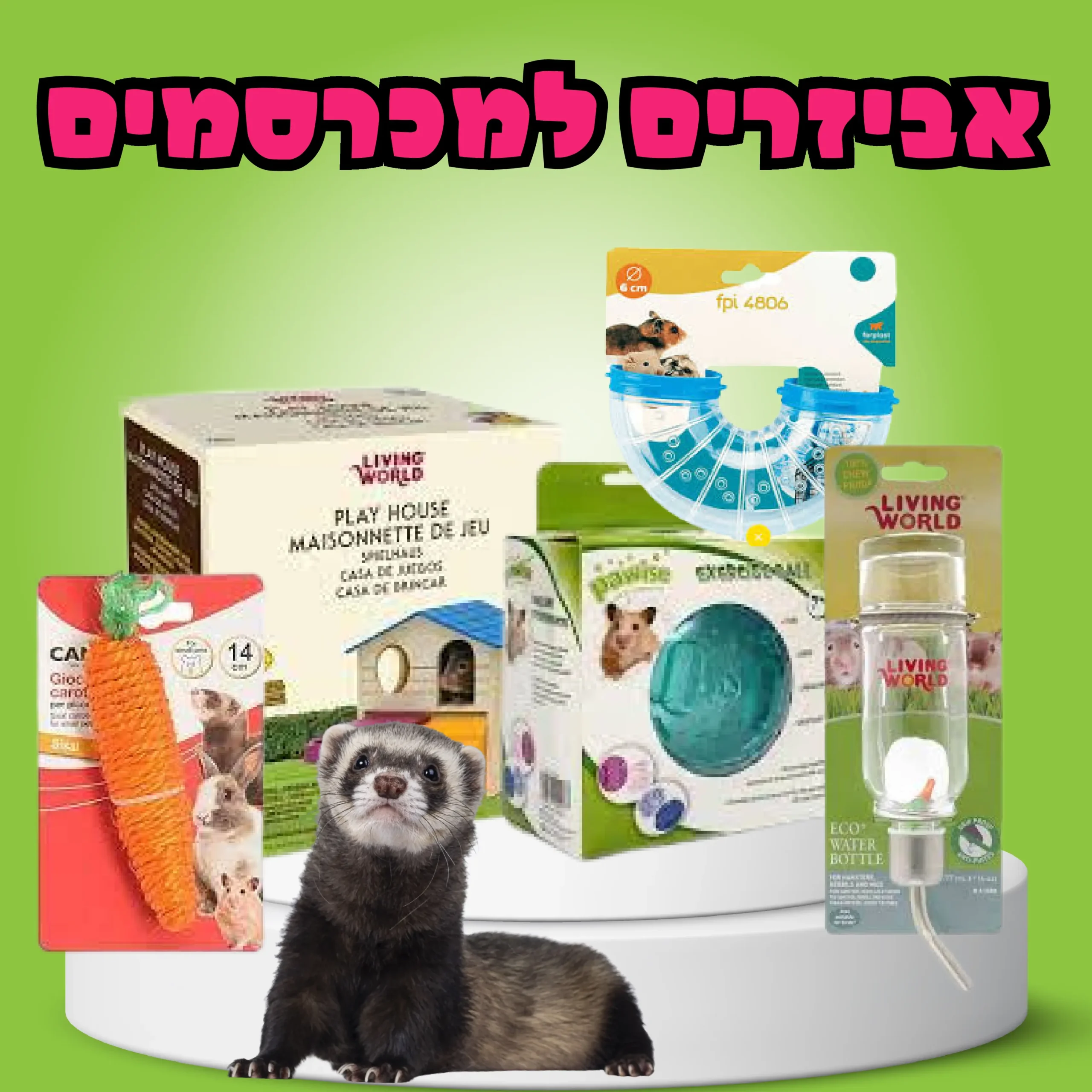 אביזרים למכרסמים
